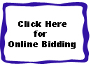 Dixie Auto Auction Online Bidding